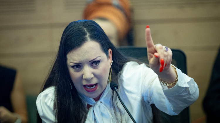 טלי גוטליב (צילום: יונתן זינדל, פלאש 90)