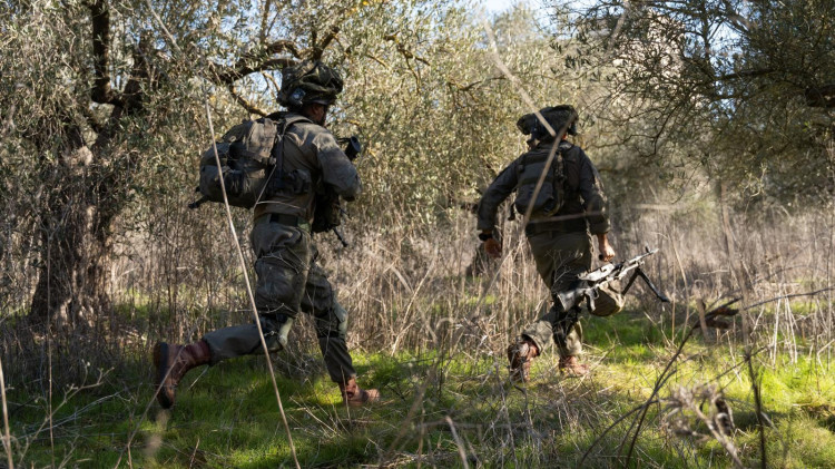 כוח צה"ל בלבנון. ישראל יכולה להרוויח, אך ישנם ויתוריםיד (צילום: דובר צה"ל)