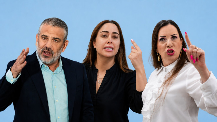 טלי גוטליב, מאי גולן, ינון מגל (צילום: אבשלום ששוני,אריה לייב אברמס פלאש 90,חיים גולדברג פלאש 90,בינה מלאכותית ושיפור צילום)