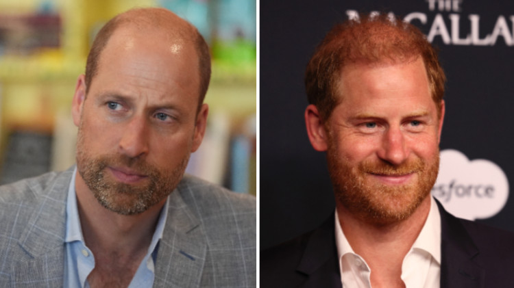 הנסיך הארי, הנסיך וויליאם (צילום: Jemal Countess/Getty Images for TIME, WPA Pool)
