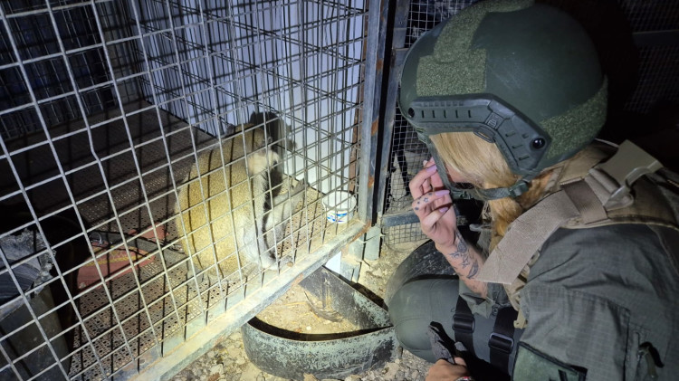 הקוף שנמצא בכלוב (צילום: באדיבות רשות הטבע והגנים)