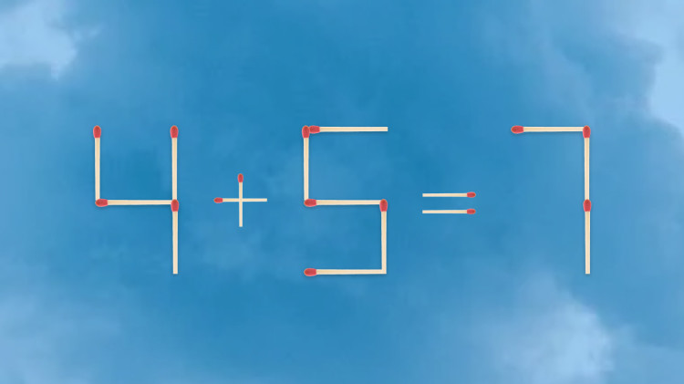 חידה (צילום: צילום מסך)