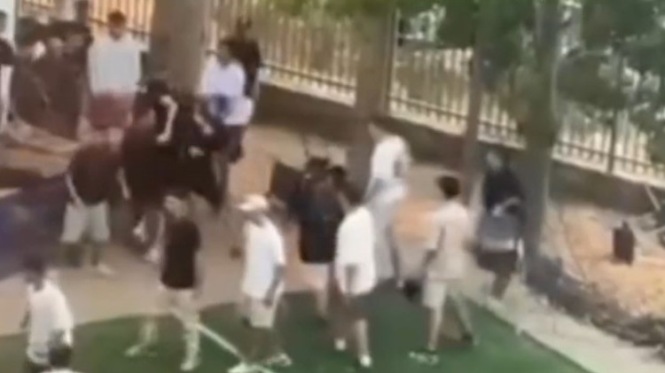 קטטה בבית ספר בקרית אונו (צילום: צילום מסך, רשת X)