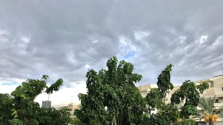 גשם בתל אביב (צילום: אבשלום ששוני)