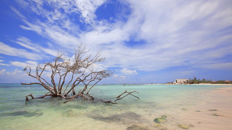 חוף ים, אילוסטרציה (צילום: ingimage ASAP)