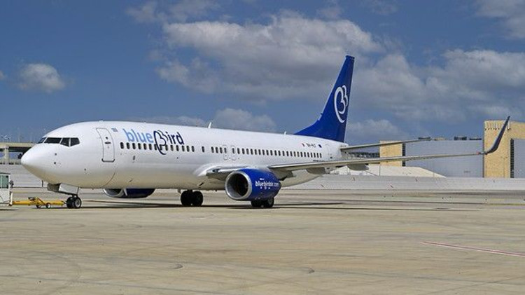 בלו בירד איירוויס (צילום: באדיבות אתר החברה)