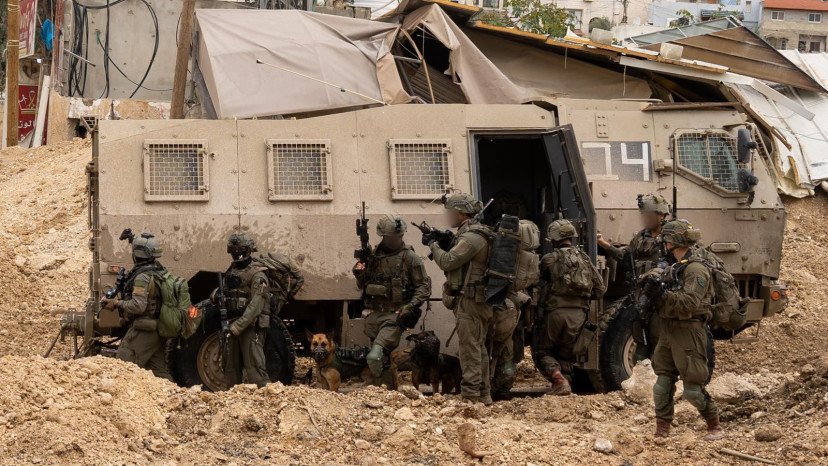פעילות כוחות צה"ל באיו"ש (צילום: דובר צהל)