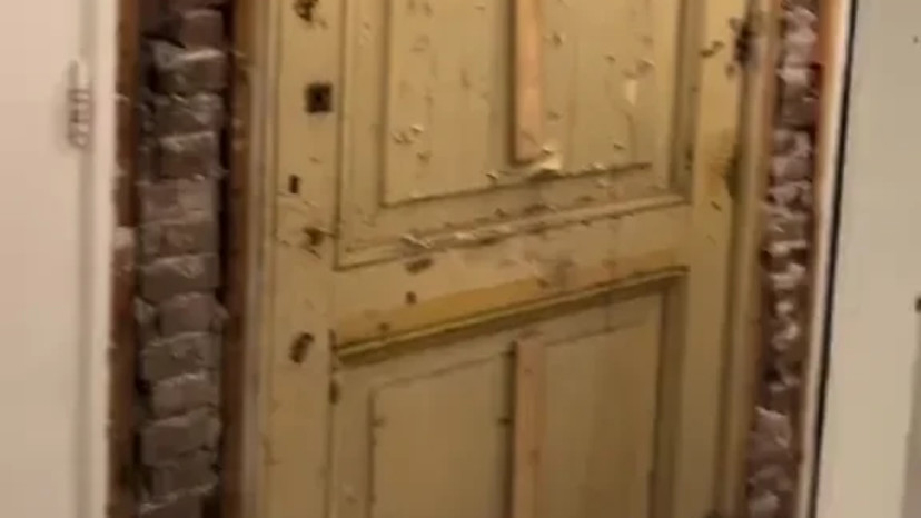 הדלת הנסתרת שנחשפה בבית החדש שרכשו (צילום: צילום מסך מתוך טיקטוק)