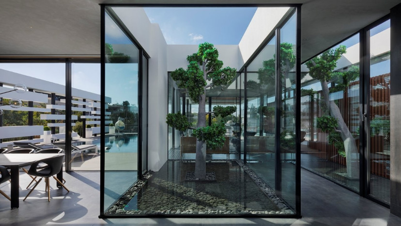 פטיו - דן והילה ישראלביץ (צילום: אסף פינצ׳וק)