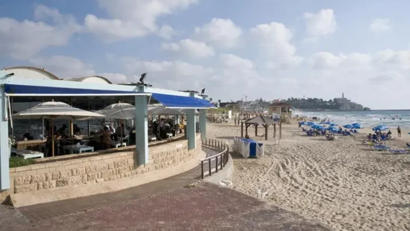 מסעדת מאנטה ריי בתל אביב (צילום: נמרוד סונדרס)