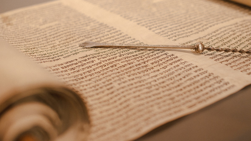 פרשת השבוע (צילום: שאטרסטוק)