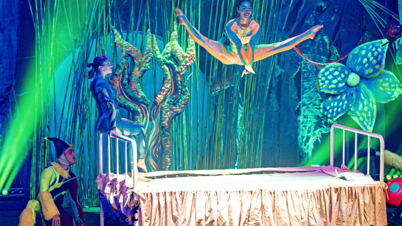 קרקס בראבו  (צילום: ילנה לחמן)