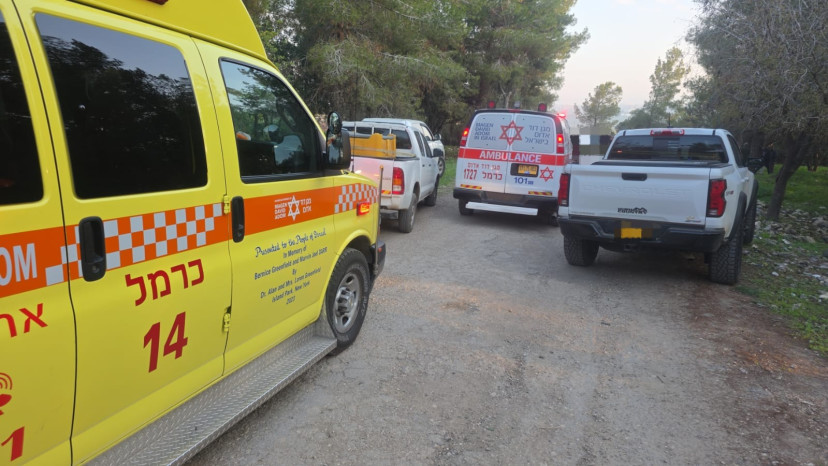 זירת הרצח בצפון (צילום: תיעוד מבצעי מד"א)