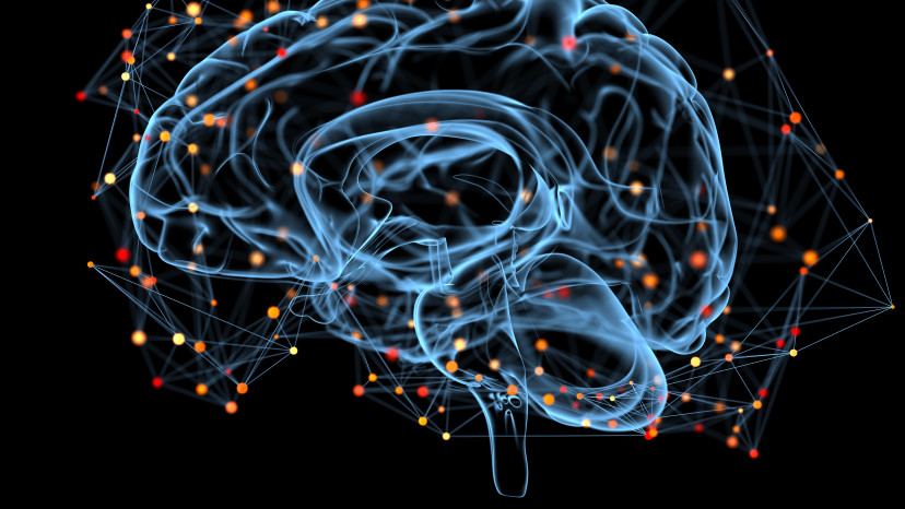 בינה מלאכותית (צילום: אינגאימג')