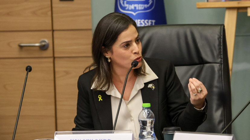 עדי עזוז (צילום: דוברות הכנסת, דני שם טוב)