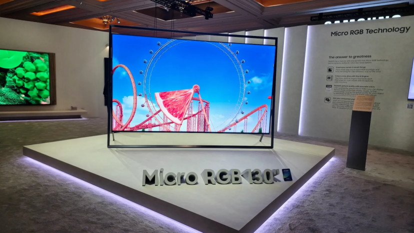 סמסונג Micro RGB - דגם R95H (צילום: צחי הופמן)