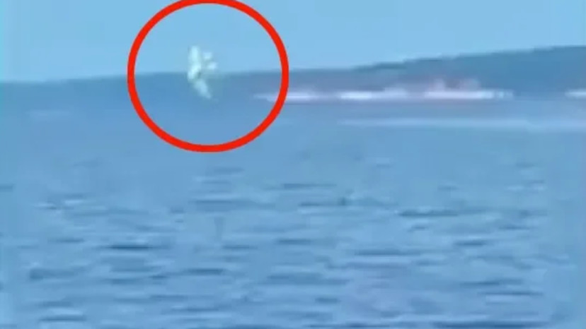 מטוס מתרסק (צילום: צילום מסך)