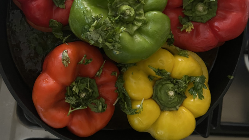 פלפלים ממולאים (צילום: פסקל פרץ-רובין,פסקל פרץ רובין, אנטולי מיכאלו, מתוך הספר "העוגות של פסקל")