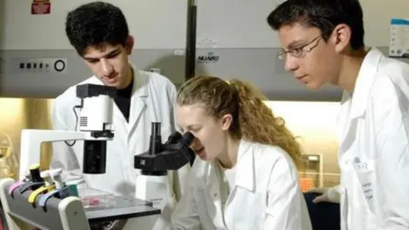 זרקור על מדעי הרוח, החברה והאמנויות (צילום: יחצ)