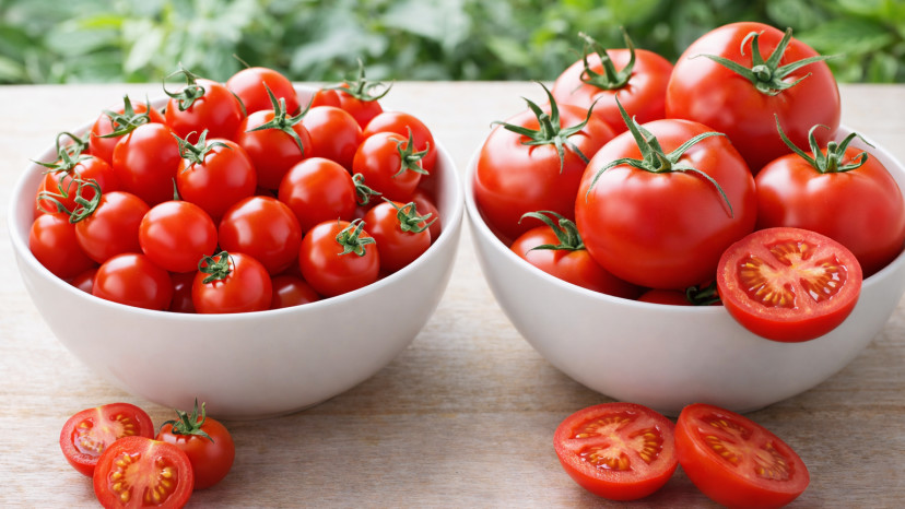 עגבניות שרי ורגילות (צילום: AI)