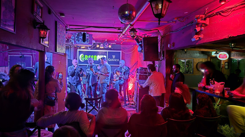 לגימה של שקמה (צילום: ניר קיפניס)