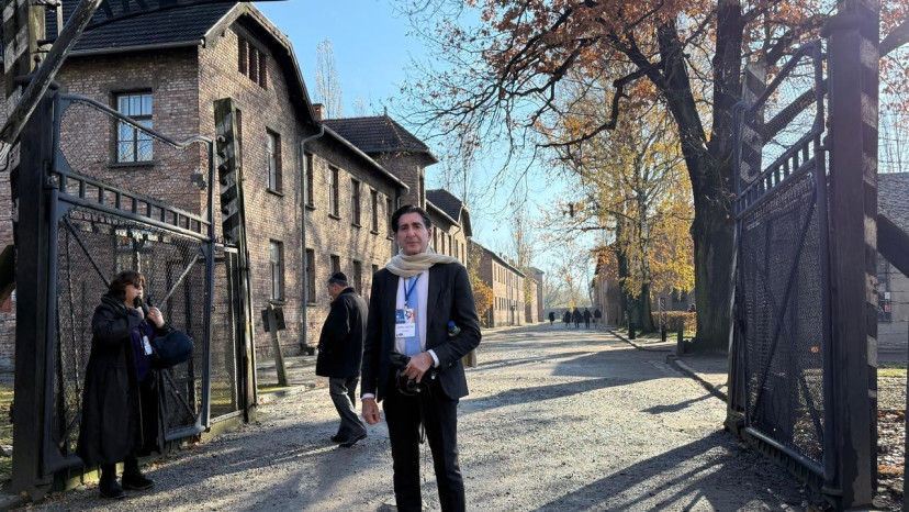  הארלי ליפמן  (צילום: יחצ)