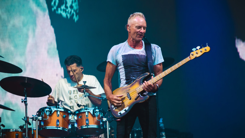 סטינג (צילום: שאטרסטוק)