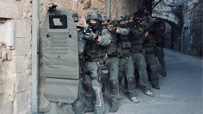 פעילות המשטרה, מסתערבים, מג"ב (צילום: דוברות המשטרה)