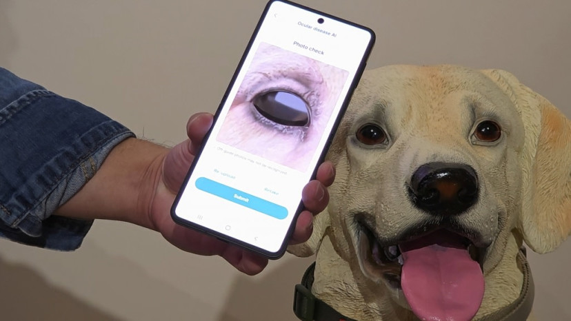 גלקסי החדש. אין פריצות דרך (צילום: סמסונג)