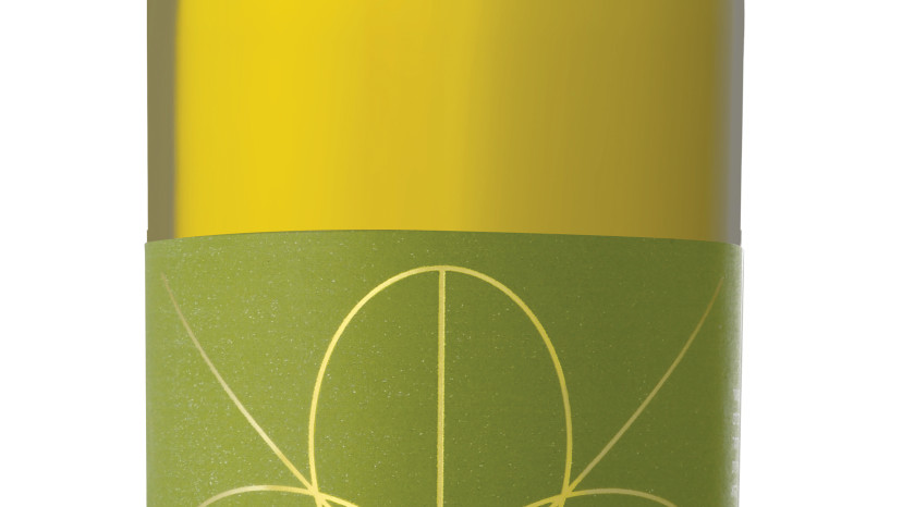 רקנאטי סוביניון בלאן 2024  (צילום: אייל קרן)