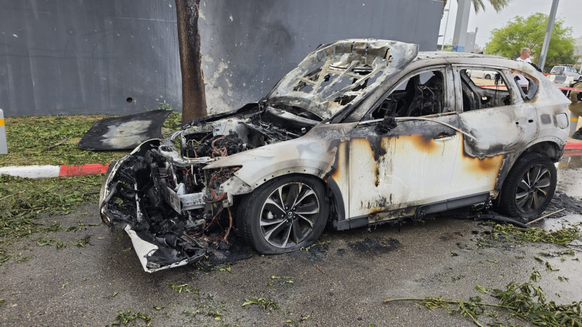 אחת הזירות במרכז (צילום: אלון חכמון)