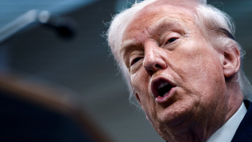 דונלד טראמפ (צילום: REUTERS/Evelyn Hockstein)