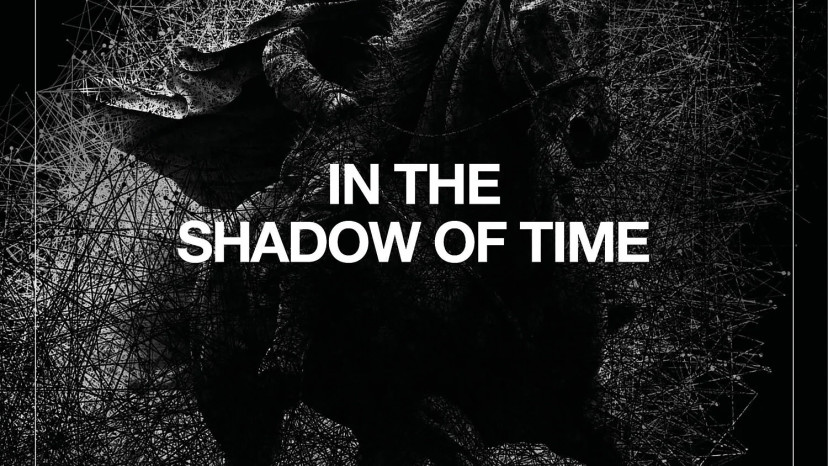 IN THE SHADOW OF TIME  (צילום: The Shyfrin Alliance)
