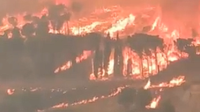 שריפת יער באיטליה (צילום: תמונה לפי סעיף 27א' לחוק זכויות יוצרים,צילום מסך רשת X)