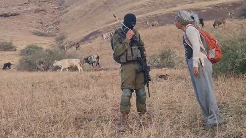 תיעוד החיילים ופעילי השמאל באזור חמאם אל מאלח (צילום: צילום מסך)
