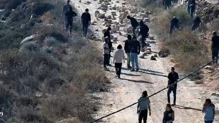 פעילי ימין בקוסרא (צילום: רשתות חברתיות)
