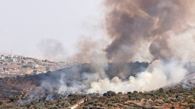 שריפת עצי זית באיו"ש (צילום: רשתות חברתיות, שימוש לפי סעיף 27 א')