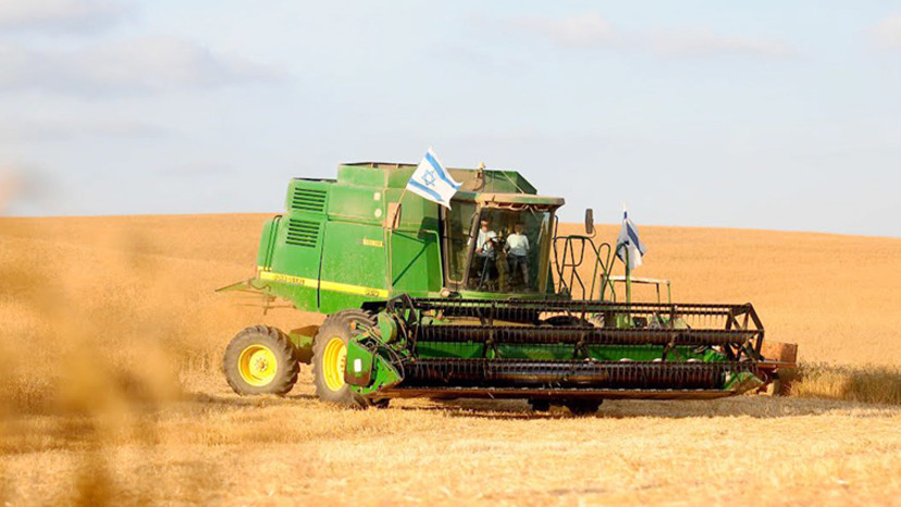 שבועות, ילדים (צילום: אסף קליגר)