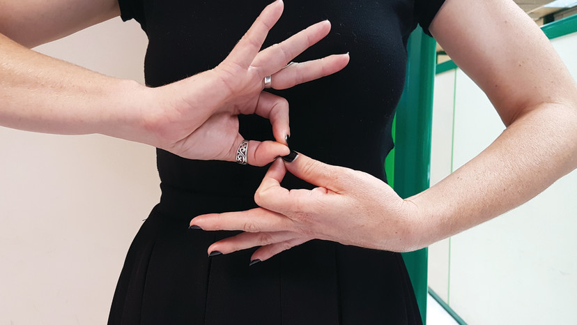 שפת הסימנים (צילום: צילום פרטי)