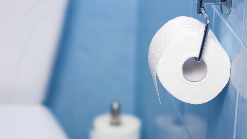 שירותים (צילום: ingimage ASAP)