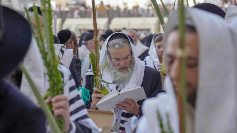 תפילת חג הסוכות בכותל המערבי (צילום: הלל מאיר/TPS)