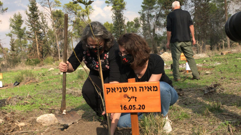 עץ לזכרה של מאיה ווישניאק ז"ל (צילום: מערך ההסברה קק"ל)
