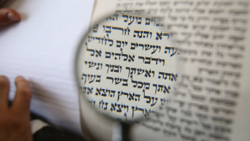 ספר תורה (צילום: דוד כהן, פלאש 90)