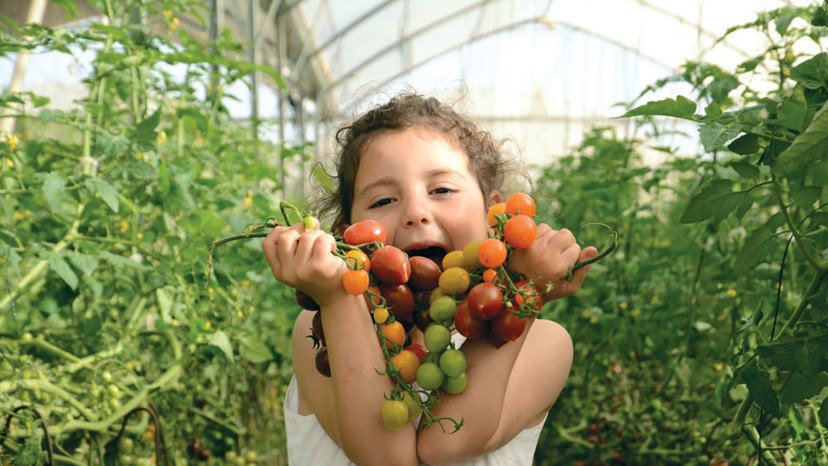שביל הסלט (צילום: מיטל סטרז)