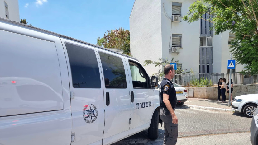 משטרה בבית-שמש, ארכיון (צילום: דוברות המשטרה)