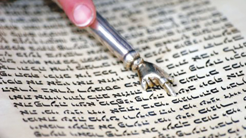 ספר תורה (צילום: מרק ישראל סלם 480)