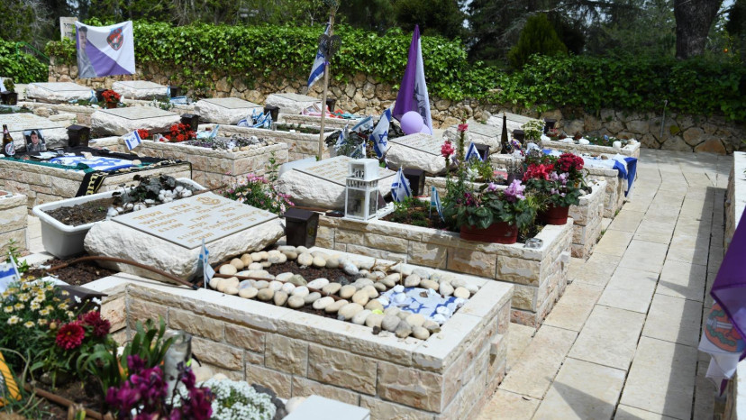 חלקה צבאית, חרבות ברזל (צילום: דובר צה"ל)