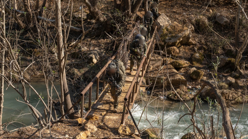 פעילות שלדג בליטאני (צילום: דובר צה"ל)