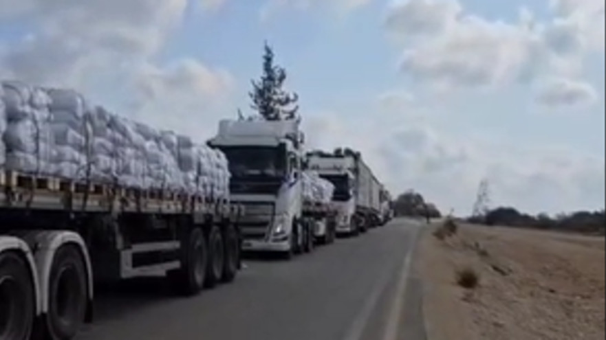 משאיות הסיוע לרצועת עזה (צילום: צילום מסך,צו 9)