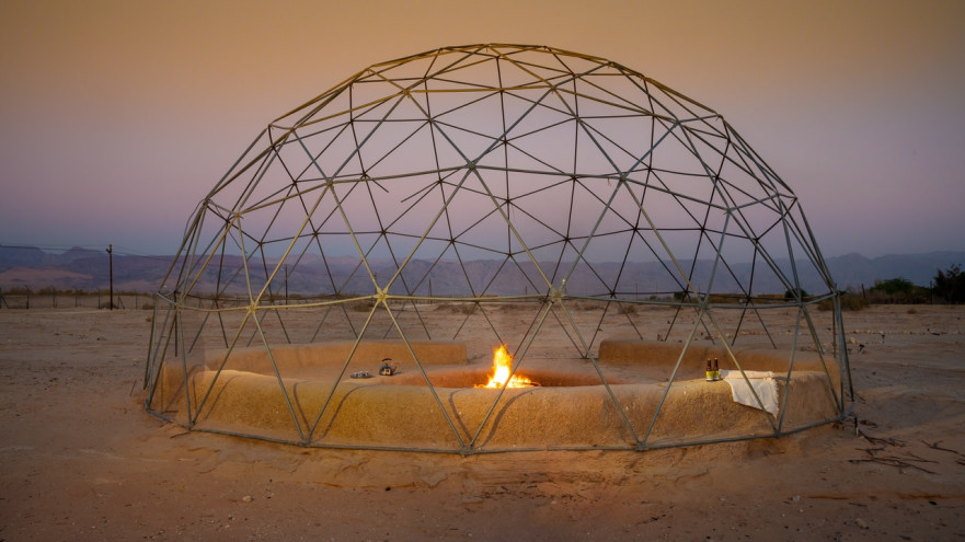 לוטן (צילום: איה בן עזרי)